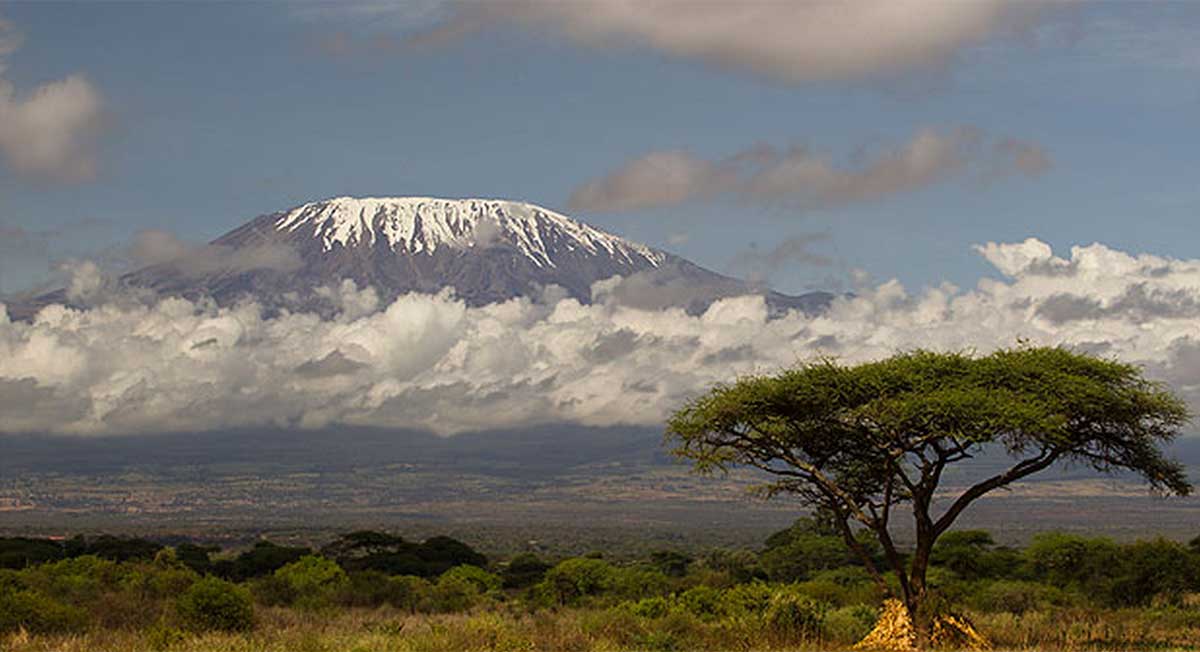 Mount Kilimanjaro charity trek with a man carrying a 'tiger' on his ...